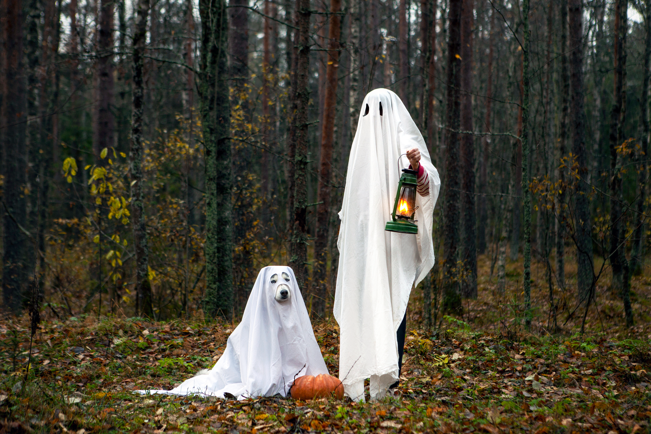 10 Last-Minute Halloween Costume Ideas